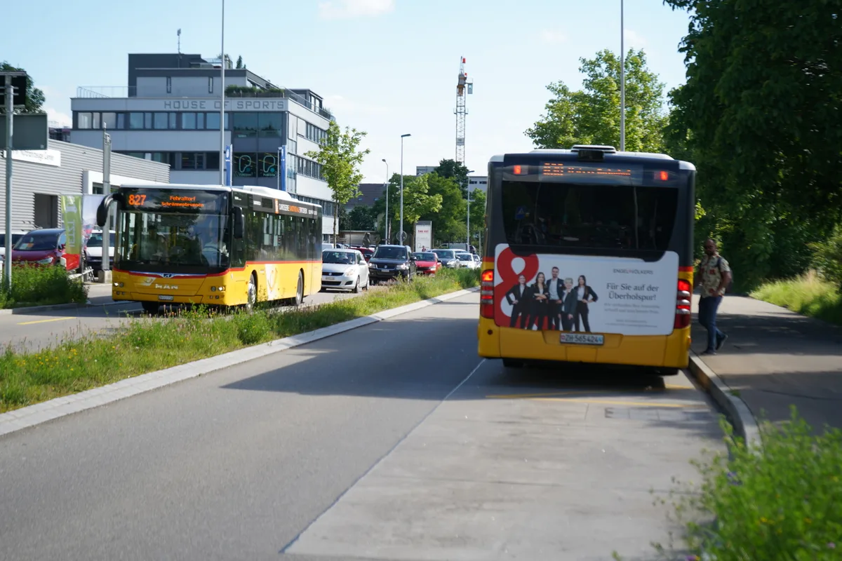 Zwei Busse halten bei einer Busbucht.